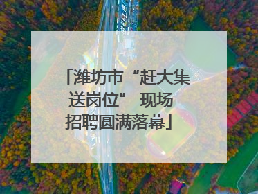 潍坊市“赶大集 送岗位” 现场招聘圆满落幕